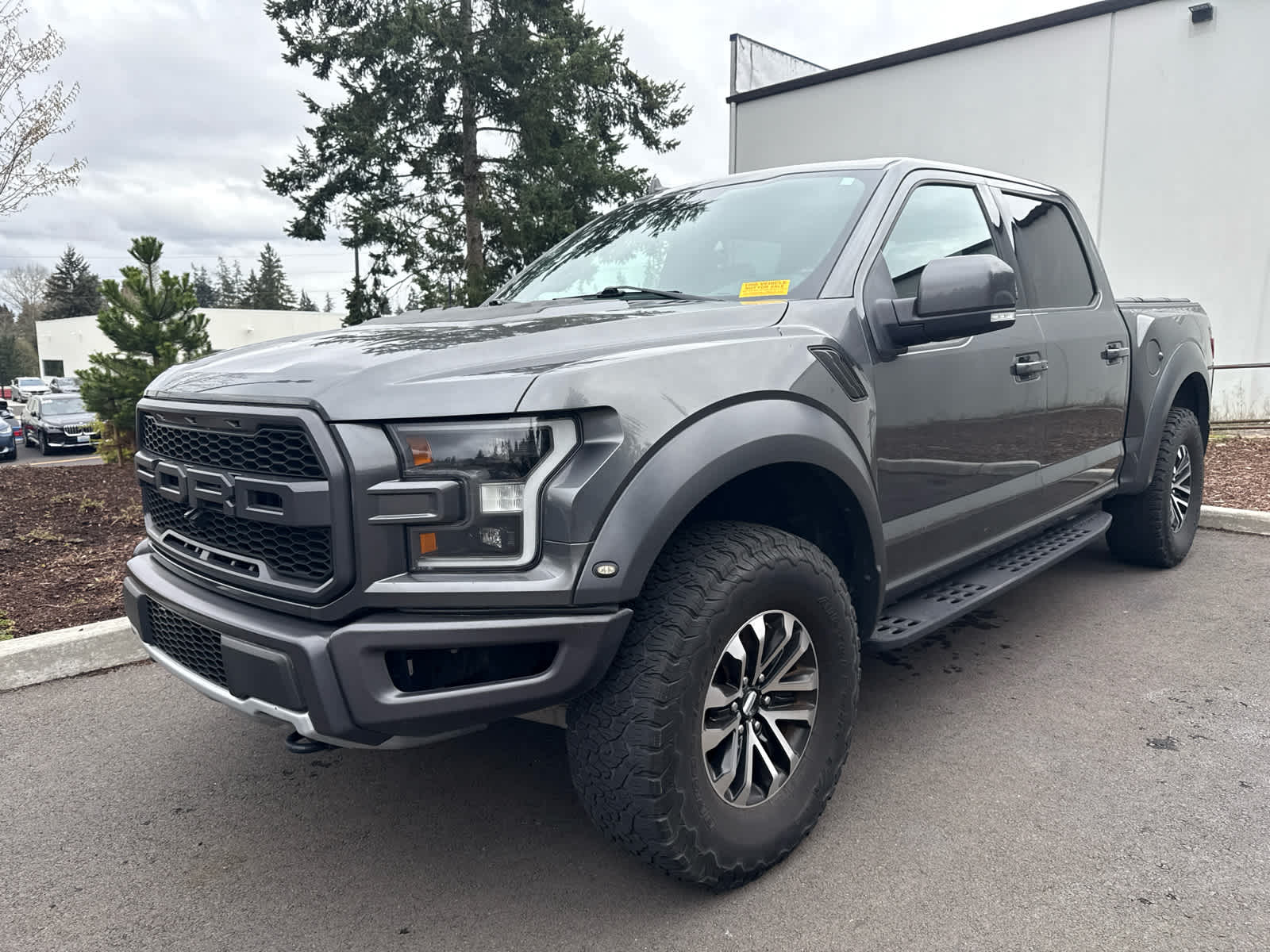 2019 Ford F-150 Raptor