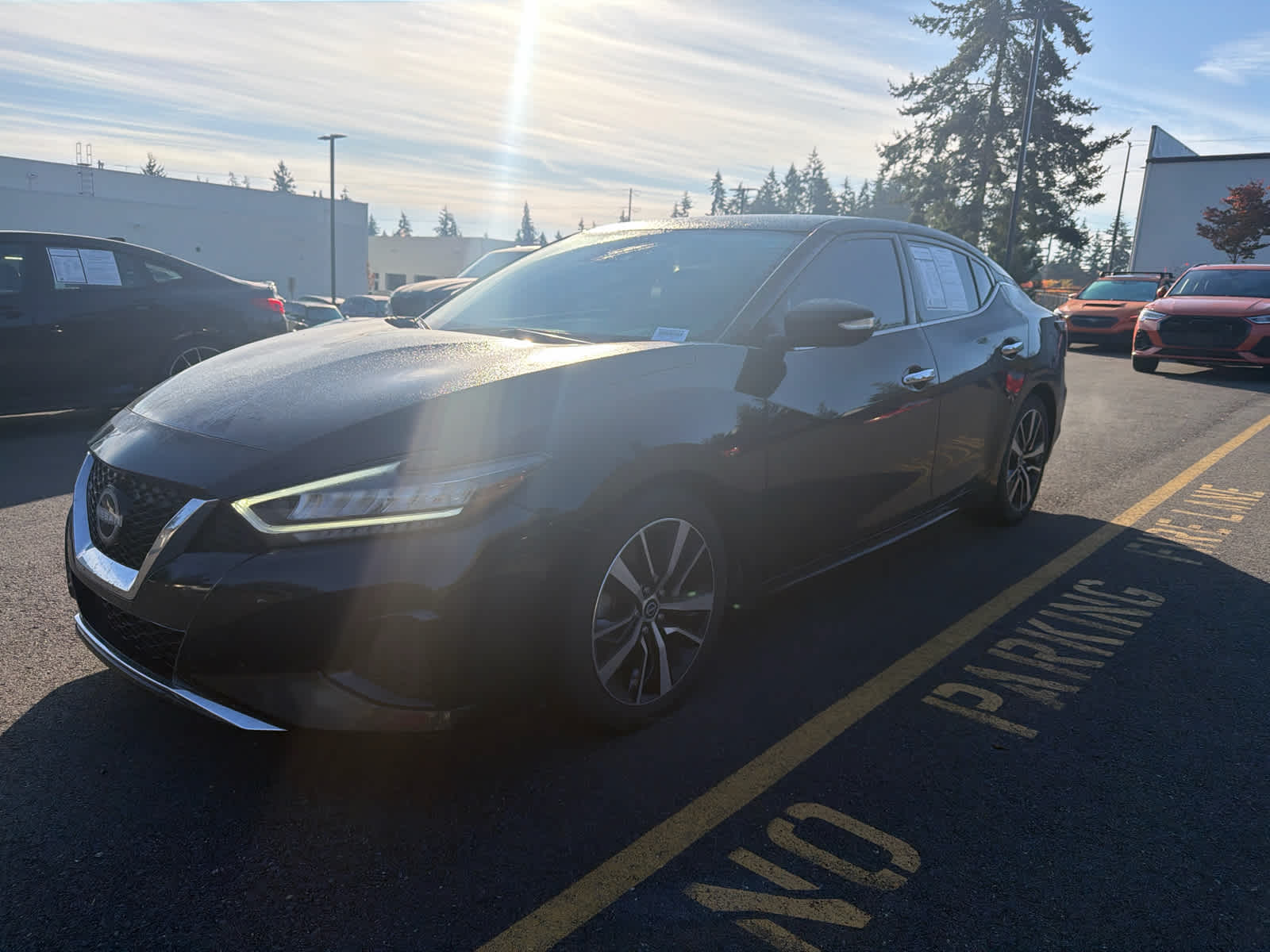 2023 Nissan Maxima SV