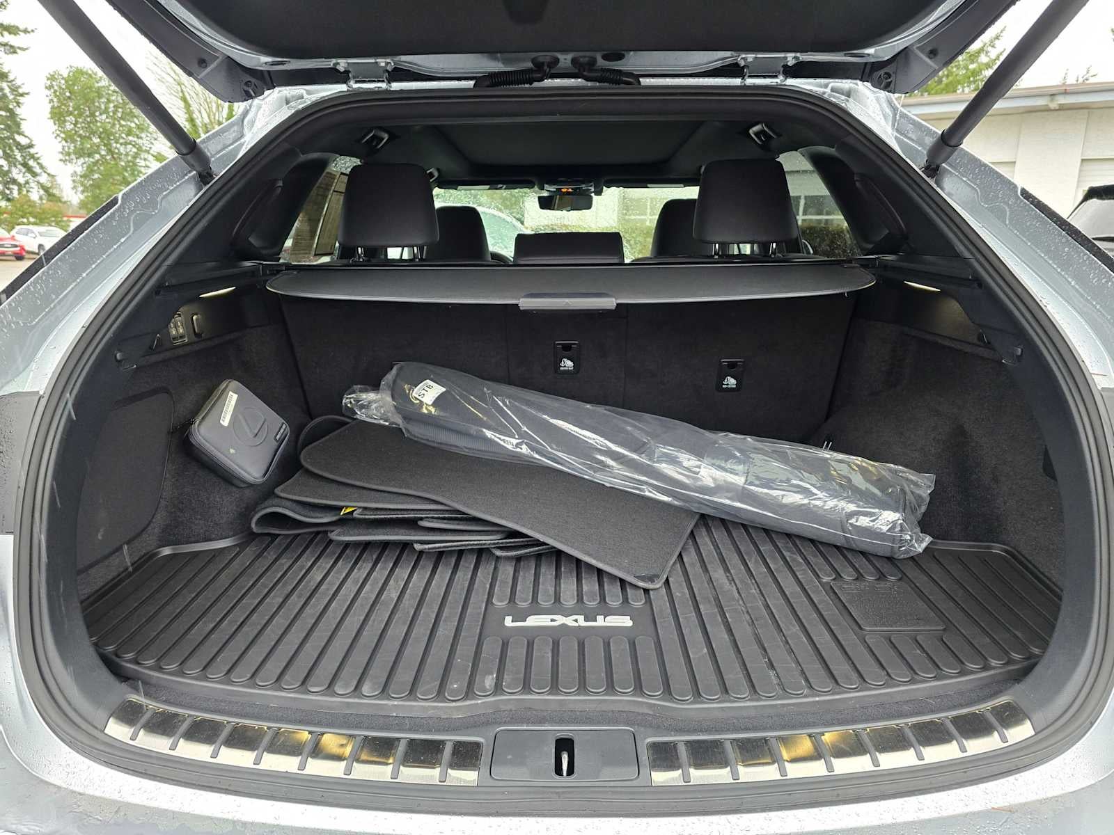 2024 Lexus RX Luxury