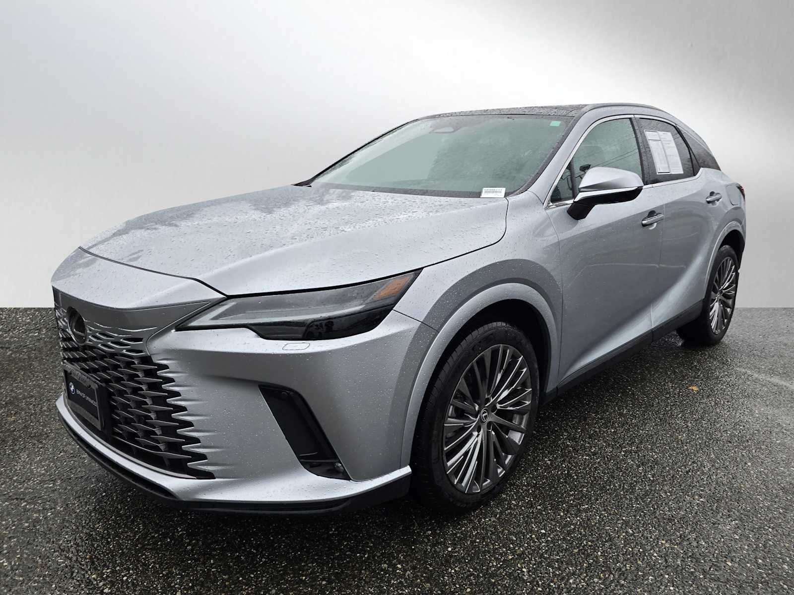 2024 Lexus RX Luxury