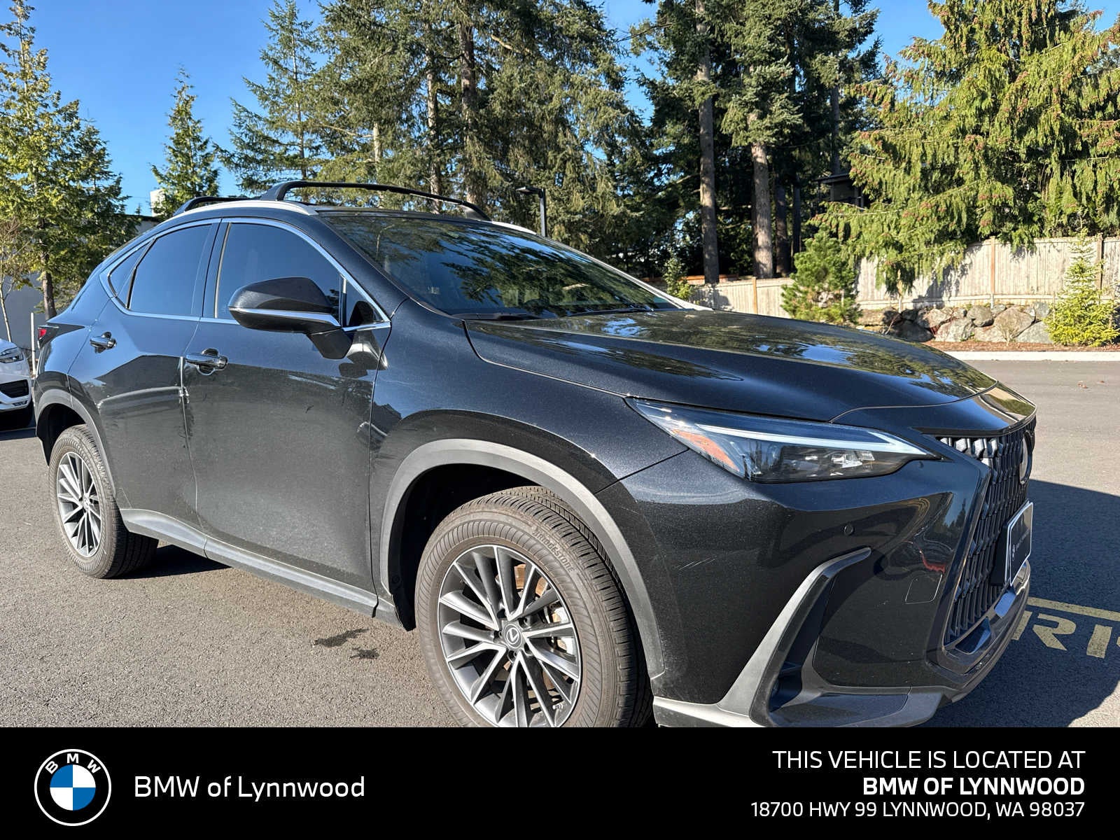 2023 Lexus NX 350h Premium