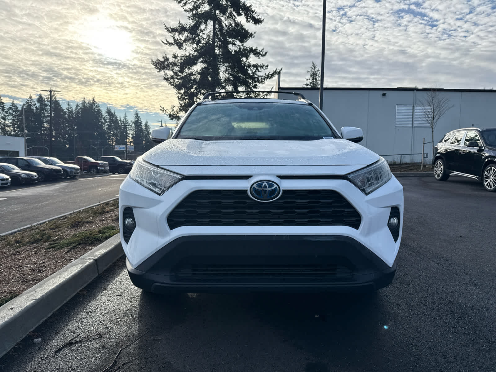 2019 Toyota RAV4 Hybrid XLE