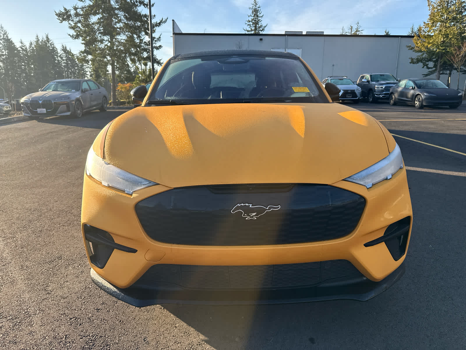 Used 2023 Ford Mustang Mach-E GT AWD with VIN 3FMTK4SX1PMA48554 for sale in Lynnwood, WA