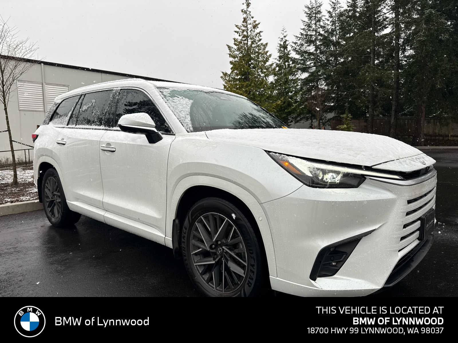 2024 Lexus TX 350 Luxury