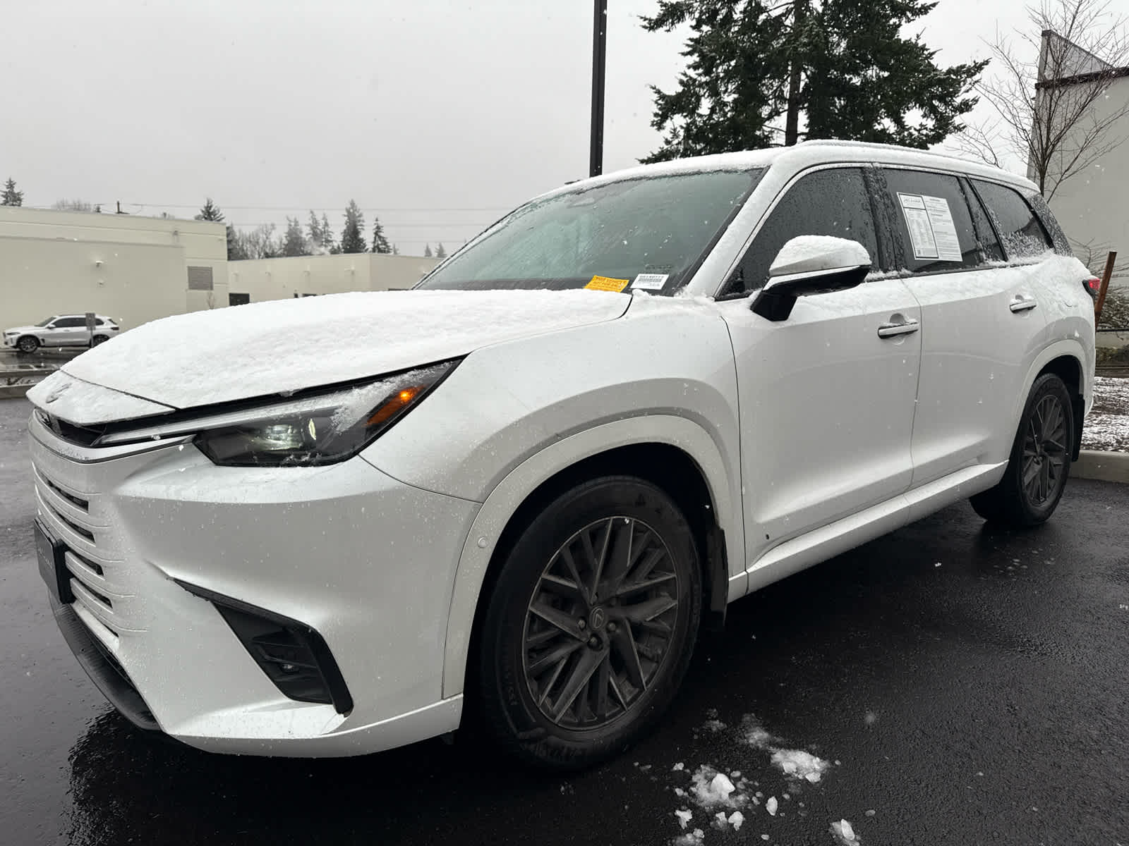 2024 Lexus TX 350 Luxury