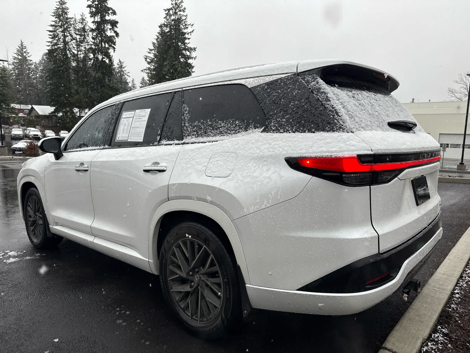 2024 Lexus TX 350 Luxury