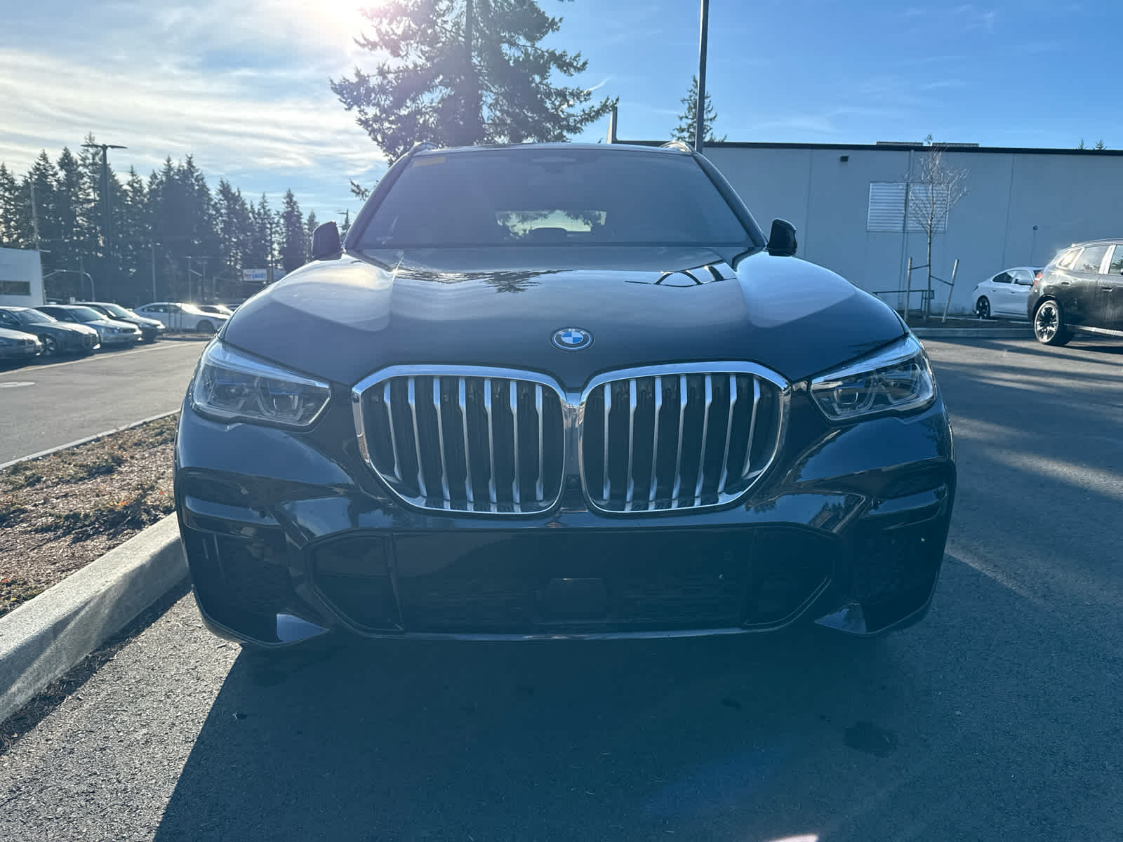 2023 BMW X5 xDrive45e