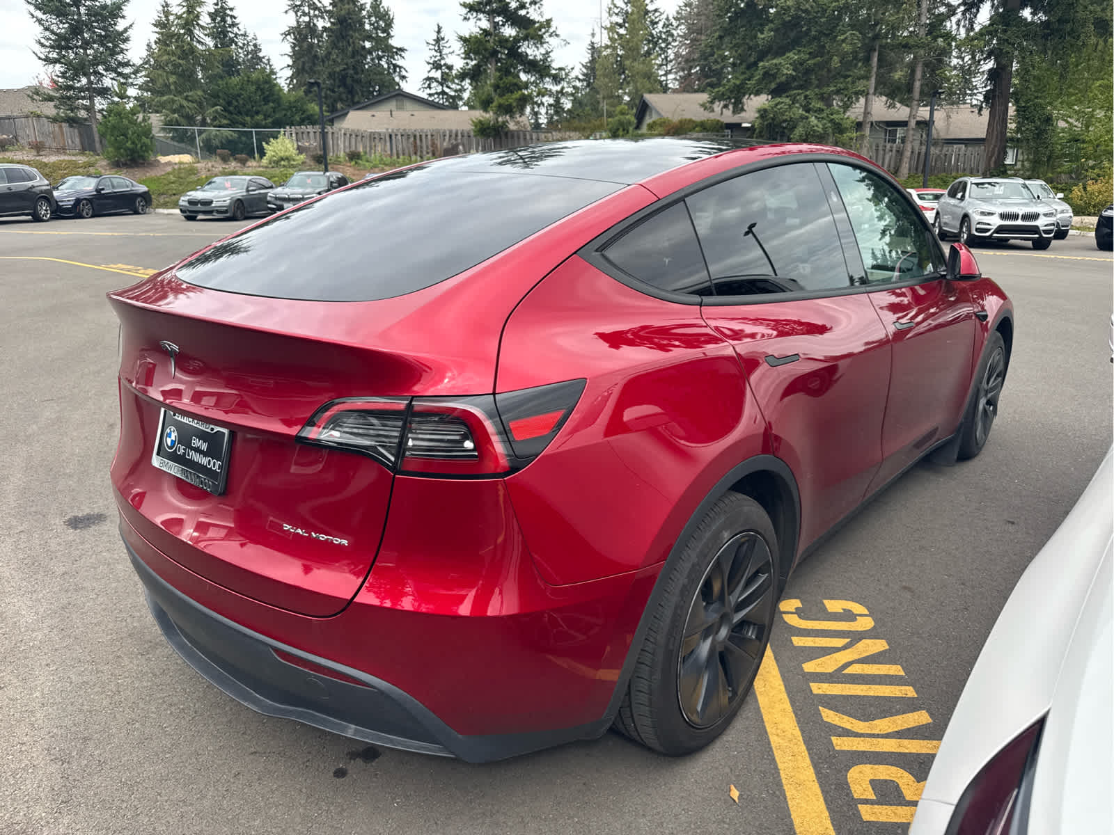 2024 Tesla Model Y Long Range