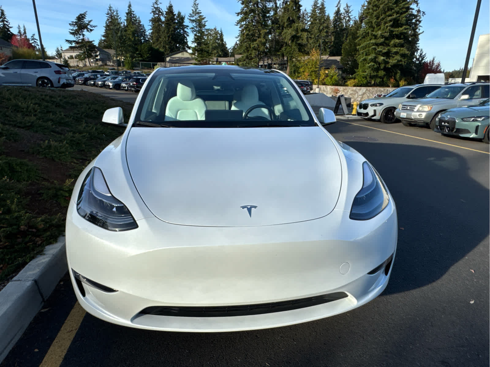 2025 Tesla Model Y Long Range