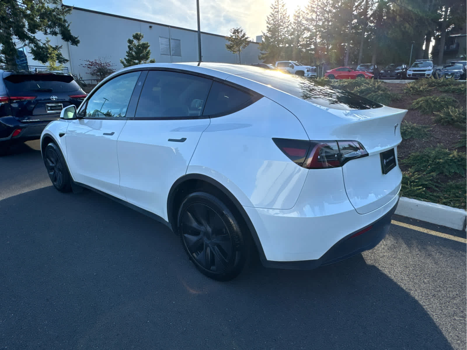 2025 Tesla Model Y Long Range