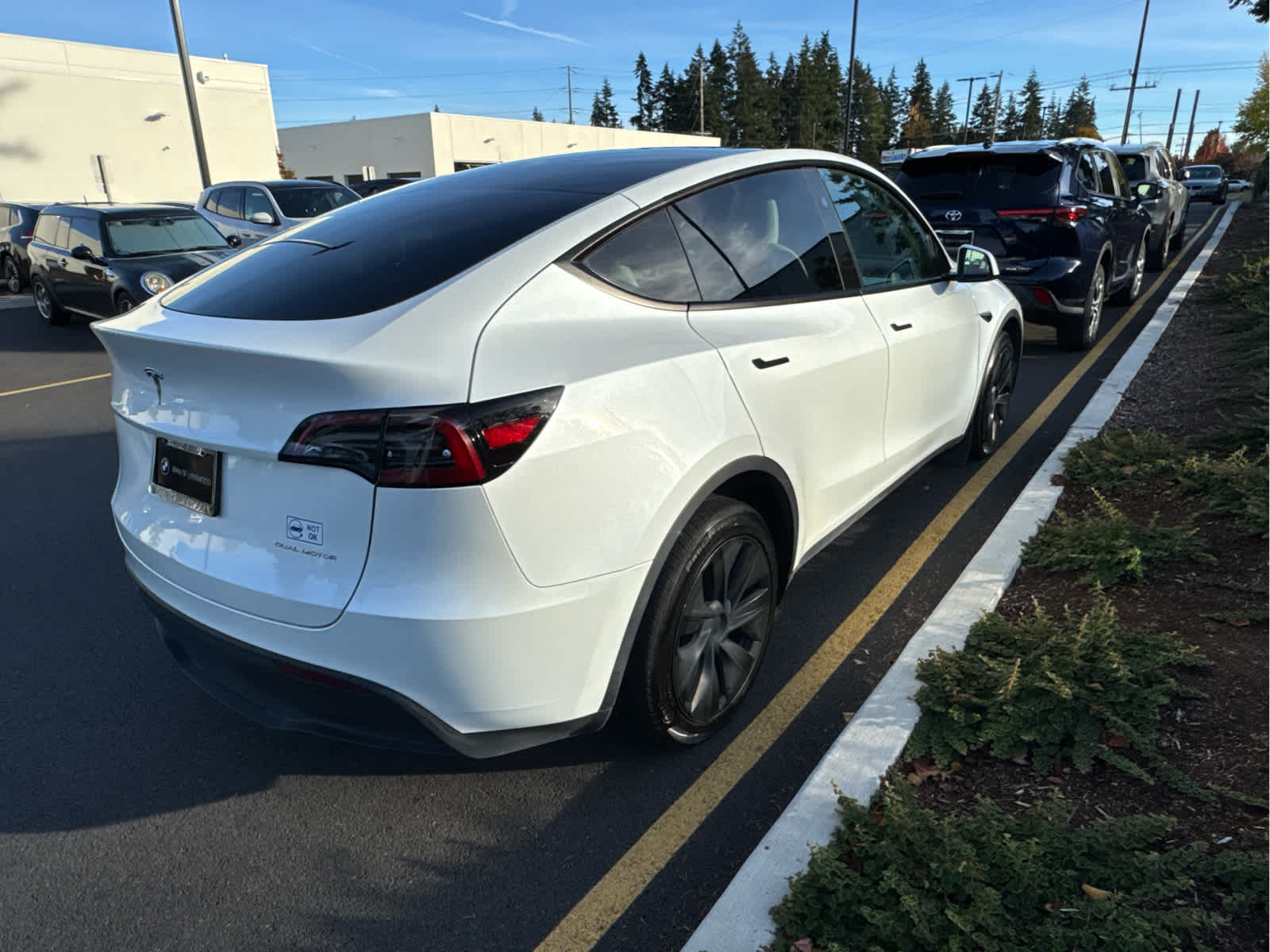 2025 Tesla Model Y Long Range