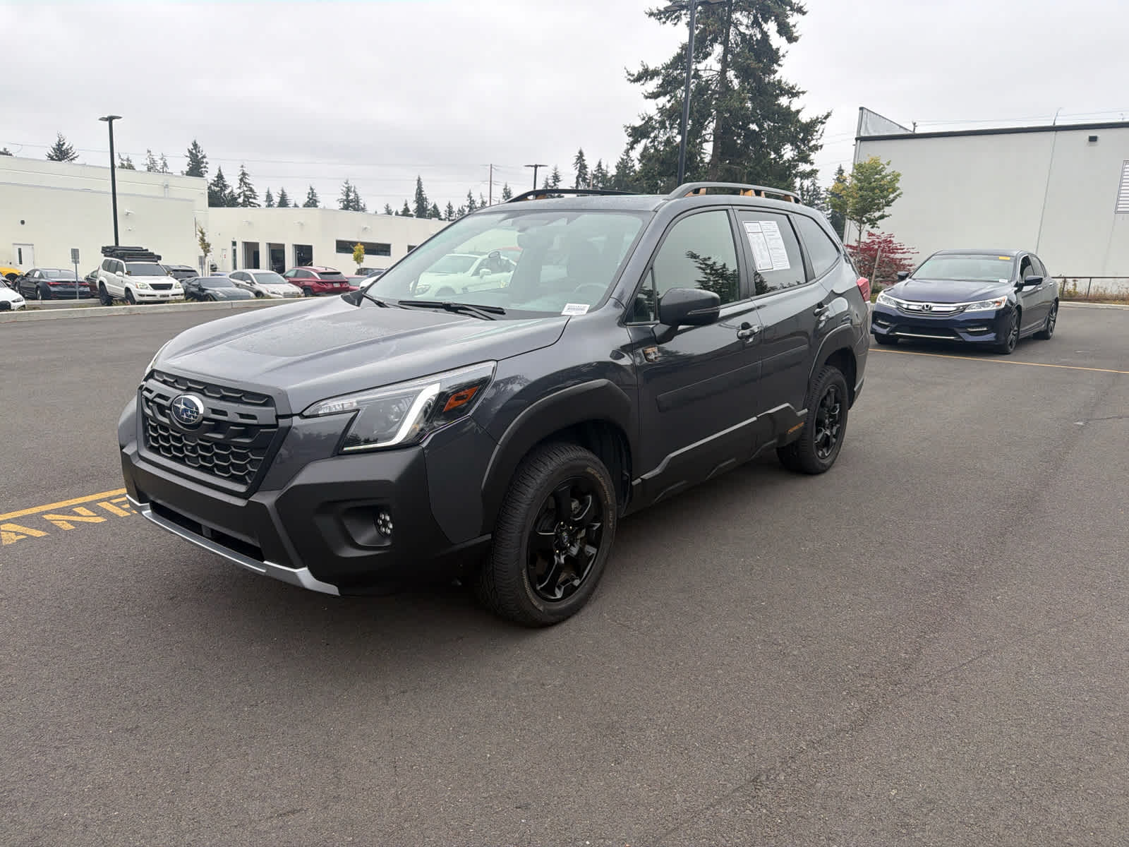2024 Subaru Forester Wilderness