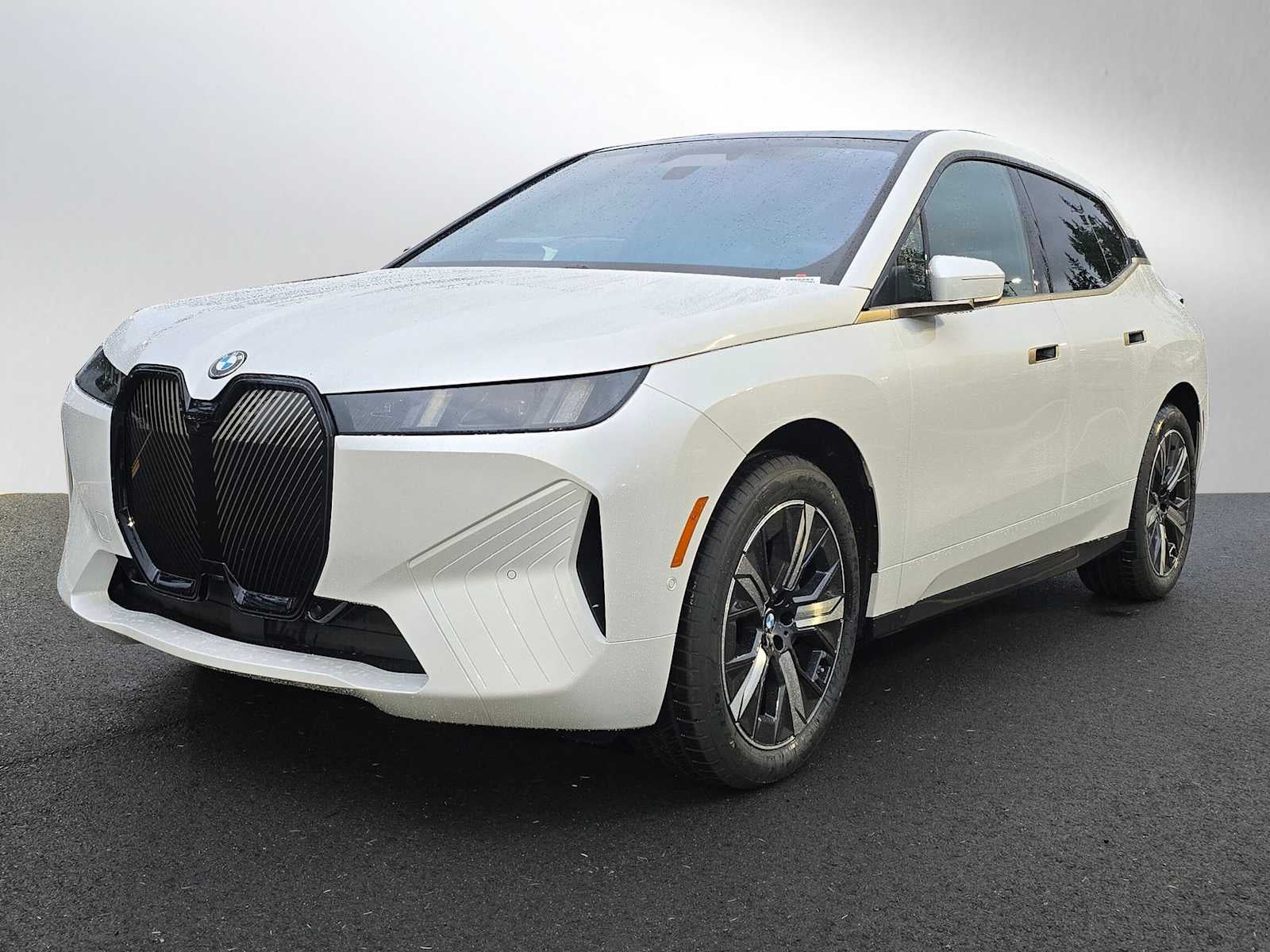 2026 BMW iX xDrive60