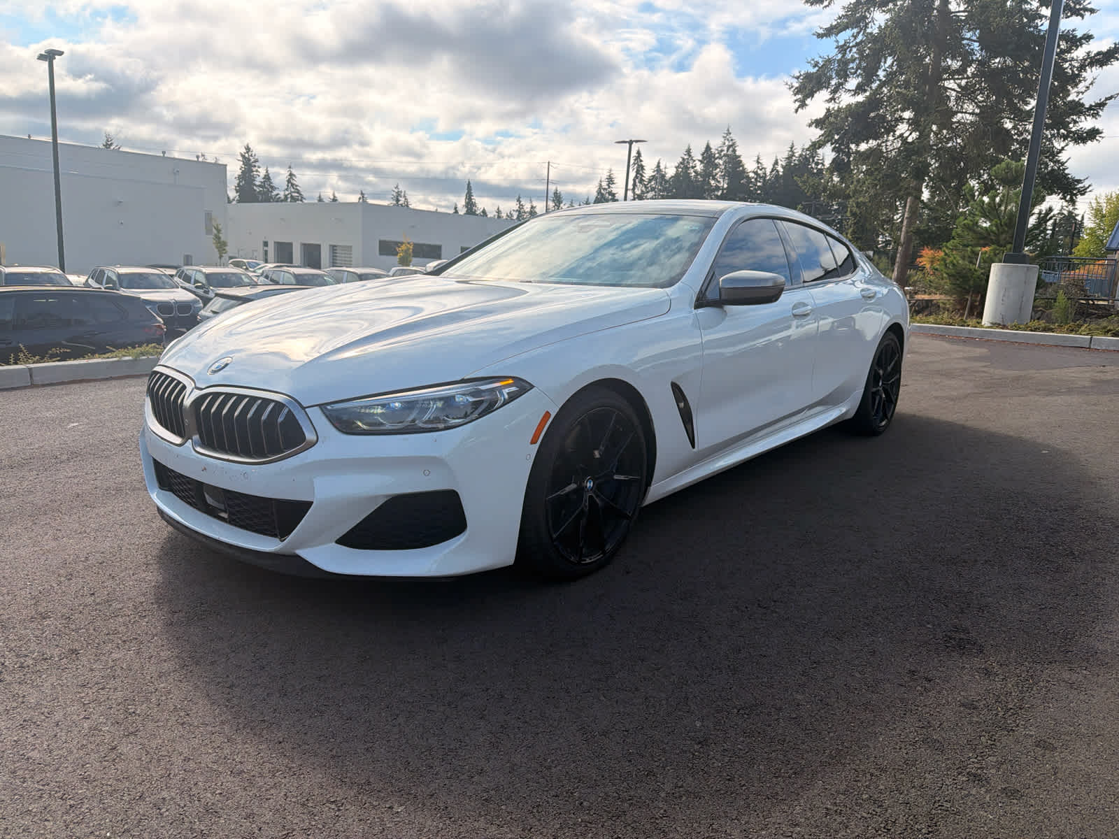 2020 BMW 8 Series M850i