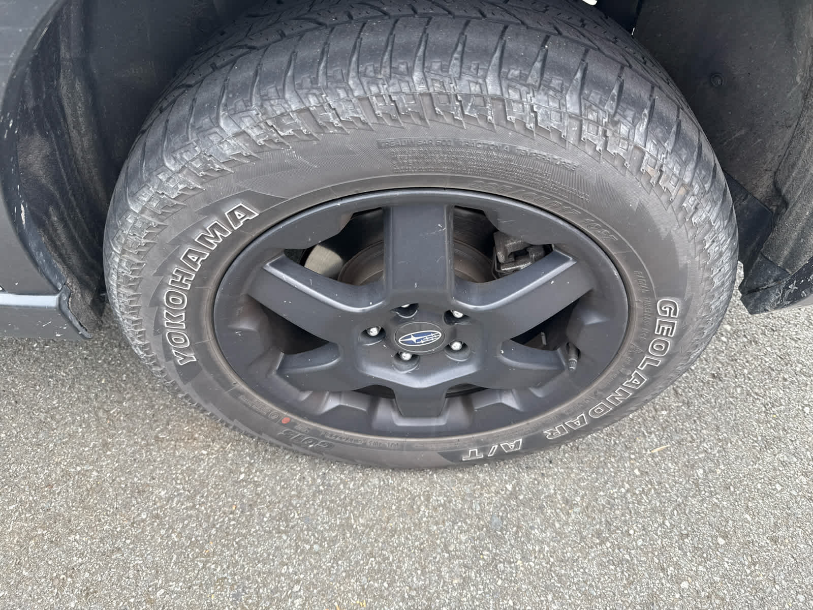 2023 Subaru Outback Wilderness