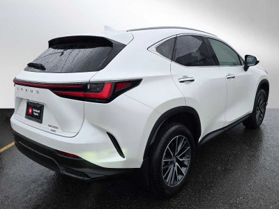2023 Lexus NX 