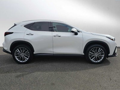 2024 Lexus NX 350 Luxury