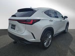 2024 Lexus NX 350 Luxury