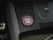 2022 Audi S5 Sportback Premium Plus